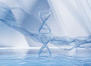 UV disinfection systems take the water quality to a whole new level