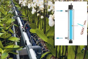 Effective recirculation UV water treatment system for modern agriculture and horticulture